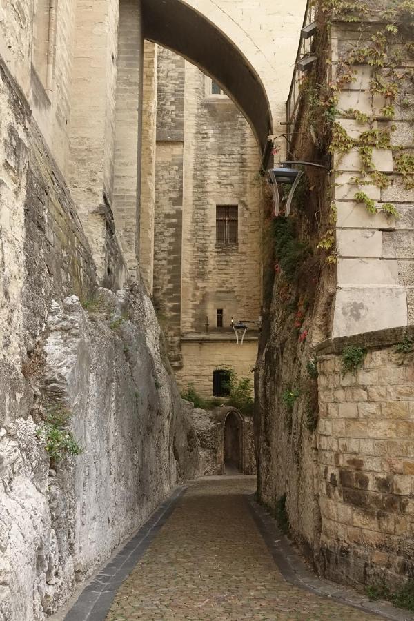 La Maison Im أفينيون المظهر الخارجي الصورة